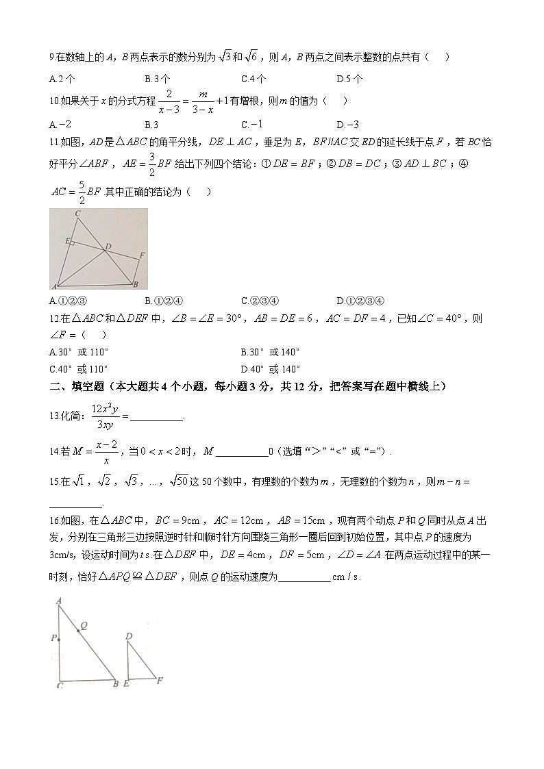 河北沧州市沧县2024—2025学年上学期期中考试八年级数学试题(无答案)第2页