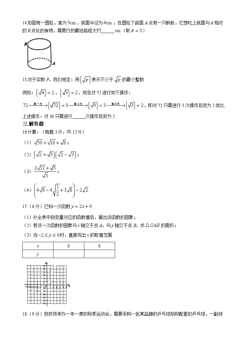 辽宁省沈阳市沈北新区2024-—2025学年八年级上学期期中数学试题(无答案)第3页