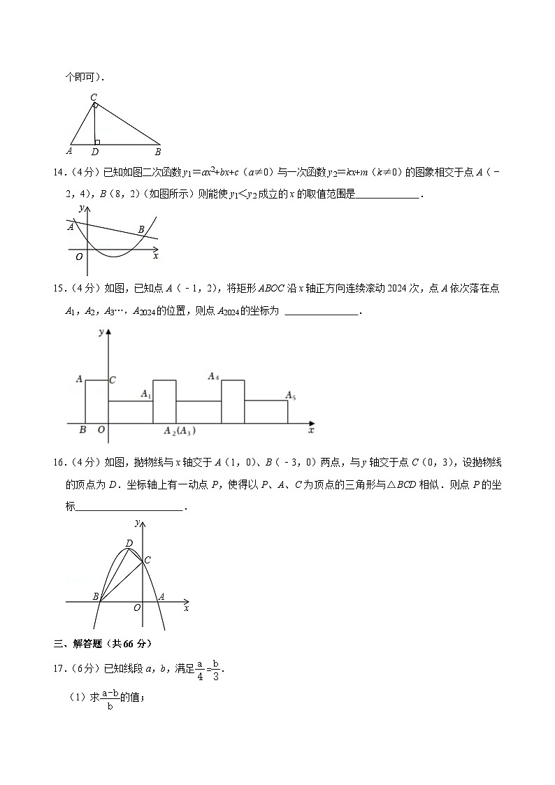 浙江省宁波市奉化区锦溪书院2024—2025学年上学期期中考试九年级数学试卷第3页