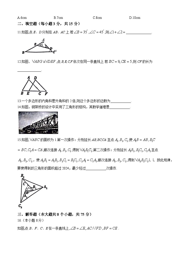 河南省洛阳市西工区2024-2025学年上学期期中八年级数学试题第3页