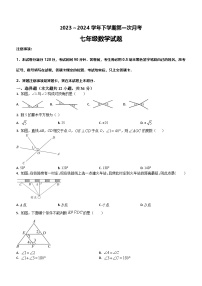 山东省临沂市费县第五中学2023-2024学年七年级下学期第一次月考数学试题(无答案)