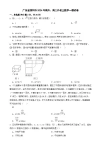 2024年广东省深圳市_南山外语中学、南山外语第二中学九年级数学中考一模试卷