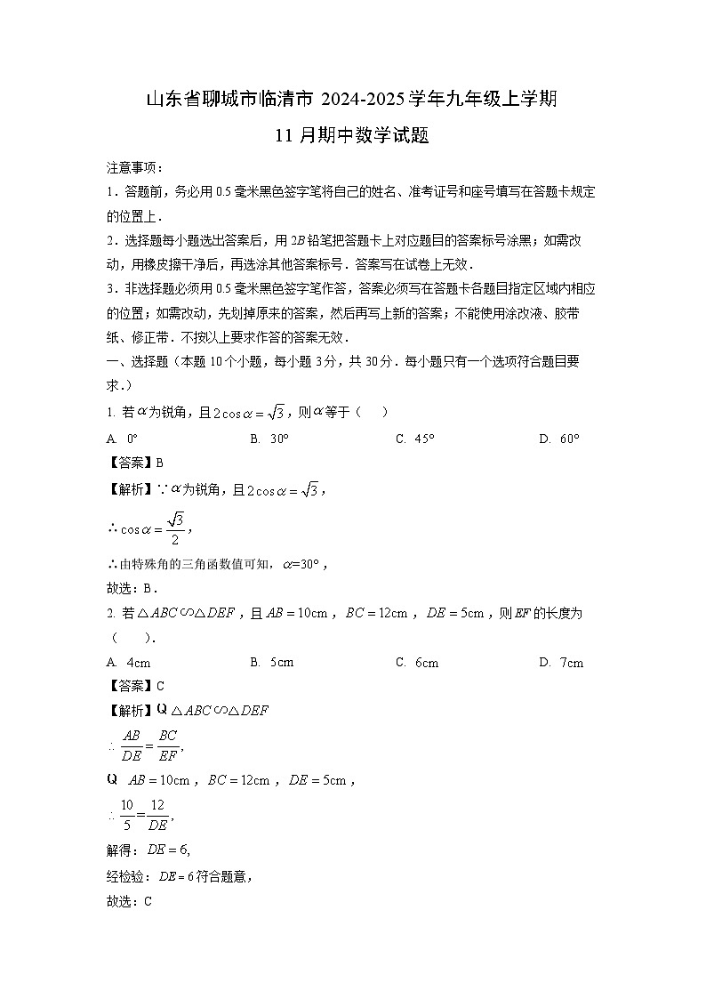 2024-2025学年山东省聊城市临清市九年级(上)11月期中数学试卷(解析版)第1页
