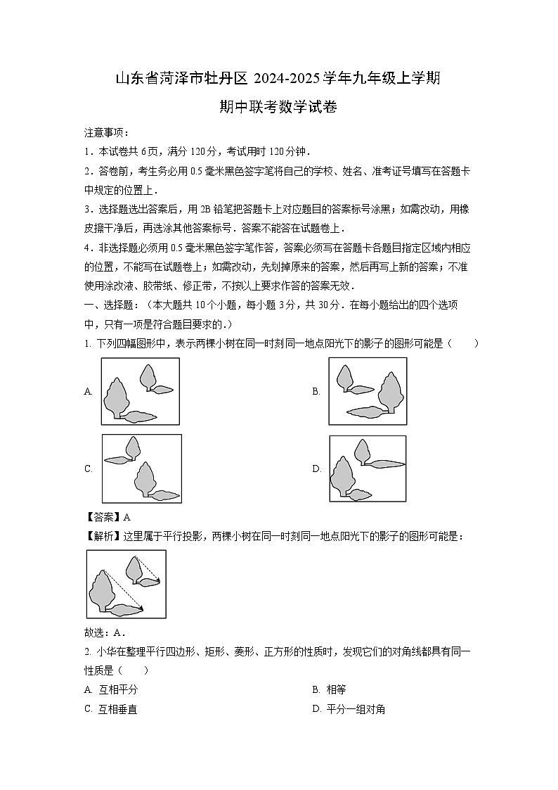 2024-2025学年山东省菏泽市牡丹区九年级(上)期中联考数学试卷(解析版)01