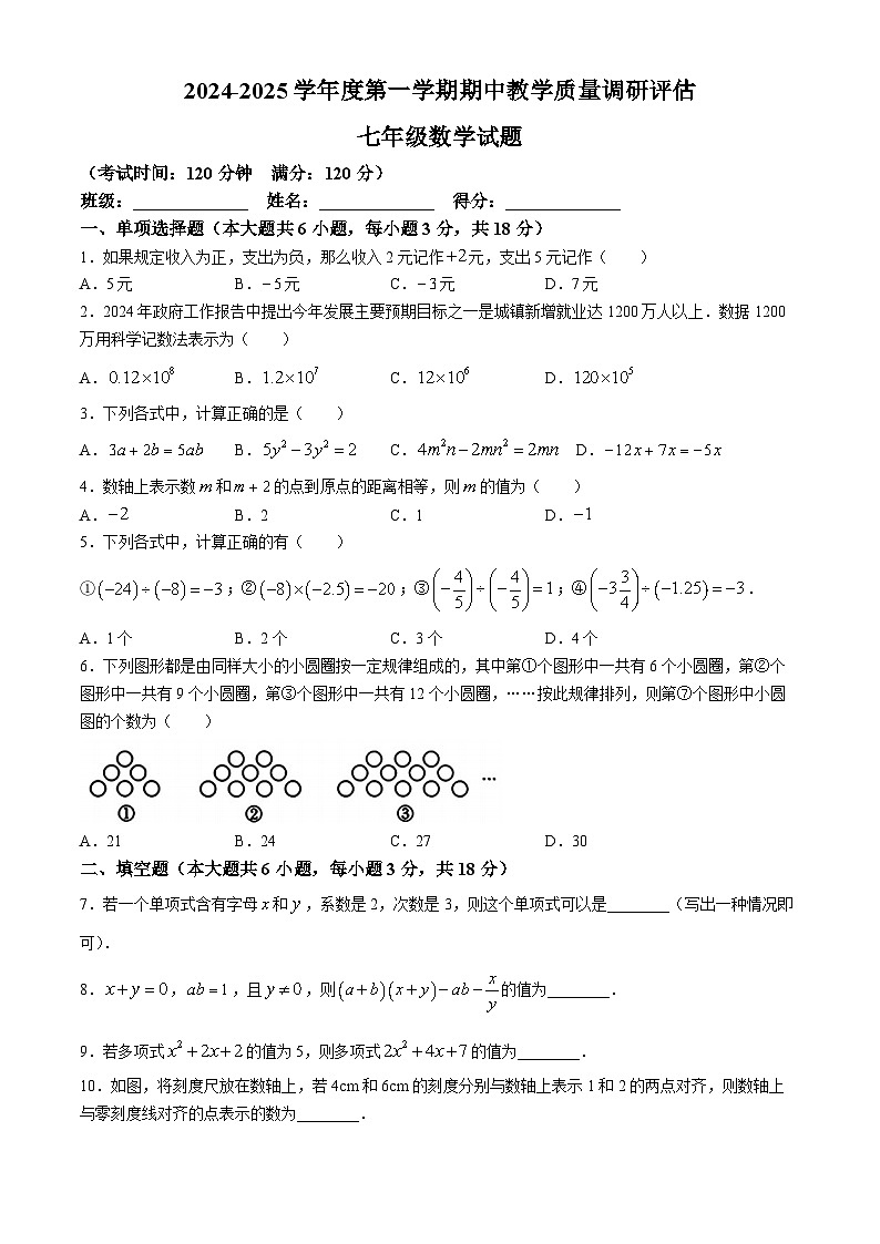 广东省湛江市徐闻县多校2024-2025学年七年级数学上学期期中测试卷第1页