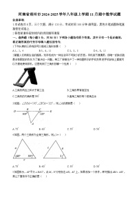 河南省郑州市2024-2025学年八年级上学期11月期中数学试题(无答案)