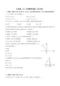 广东省中山市2024～2025学年九年级(上)10月月考数学试卷(含答案)