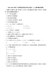 广东省茂名市化州市2024-2025学年九年级上学期期中数学试卷