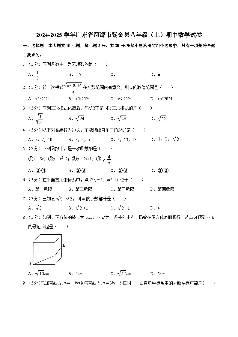 广东省河源市紫金县2024-2025学年八年级上学期期中数学试卷第1页