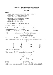 湖南省長(zhǎng)沙市湖南師大附中教育集團(tuán)2022-2023學(xué)年七年級(jí)下學(xué)期期中考試數(shù)學(xué)試題