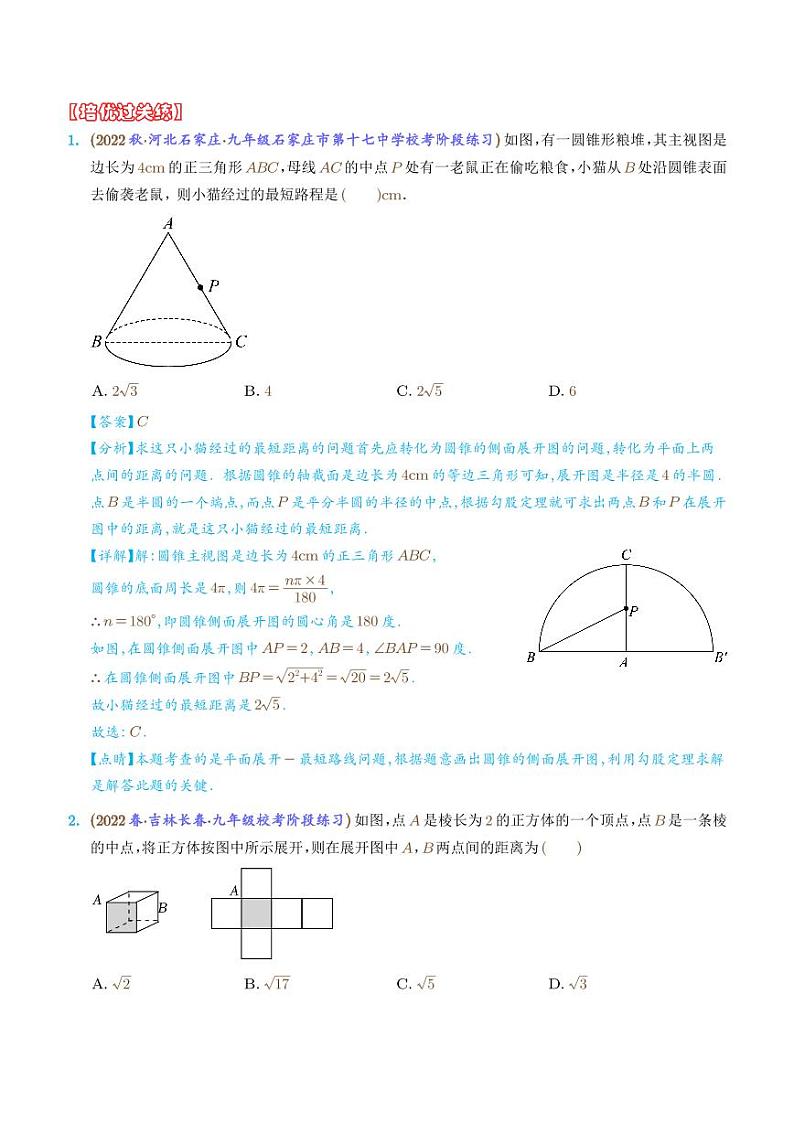 蚂蚁爬行模型(解析版)第3页