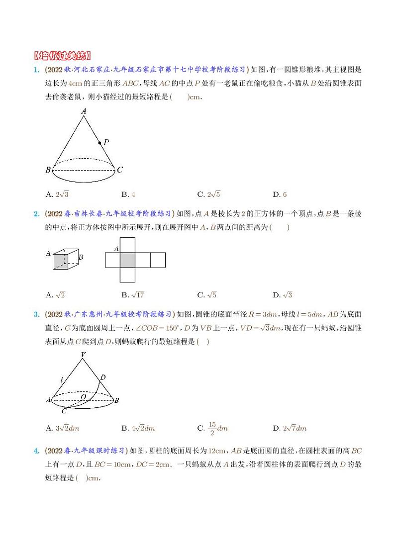 蚂蚁爬行模型(学生版)第3页