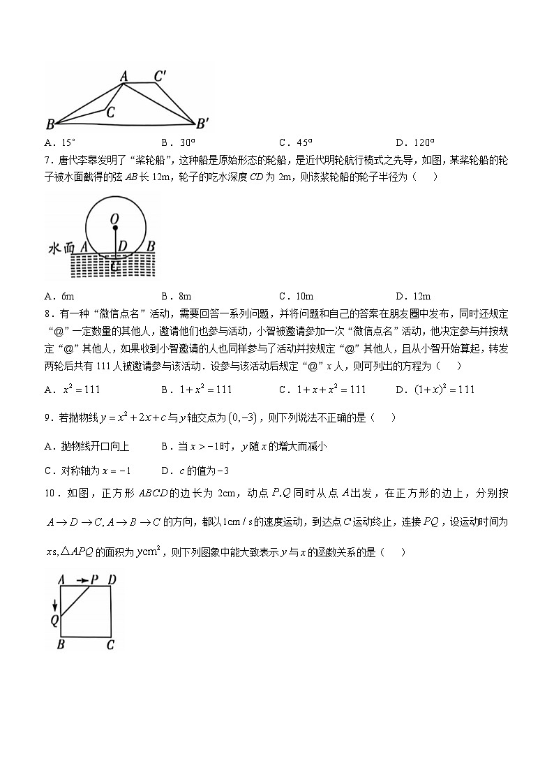 河南省漯河市召陵区2024-2025学年九年级上学期期中数学试题第2页