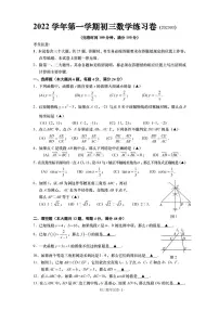 2023年上海市奉贤区九年级中考一模数学试题