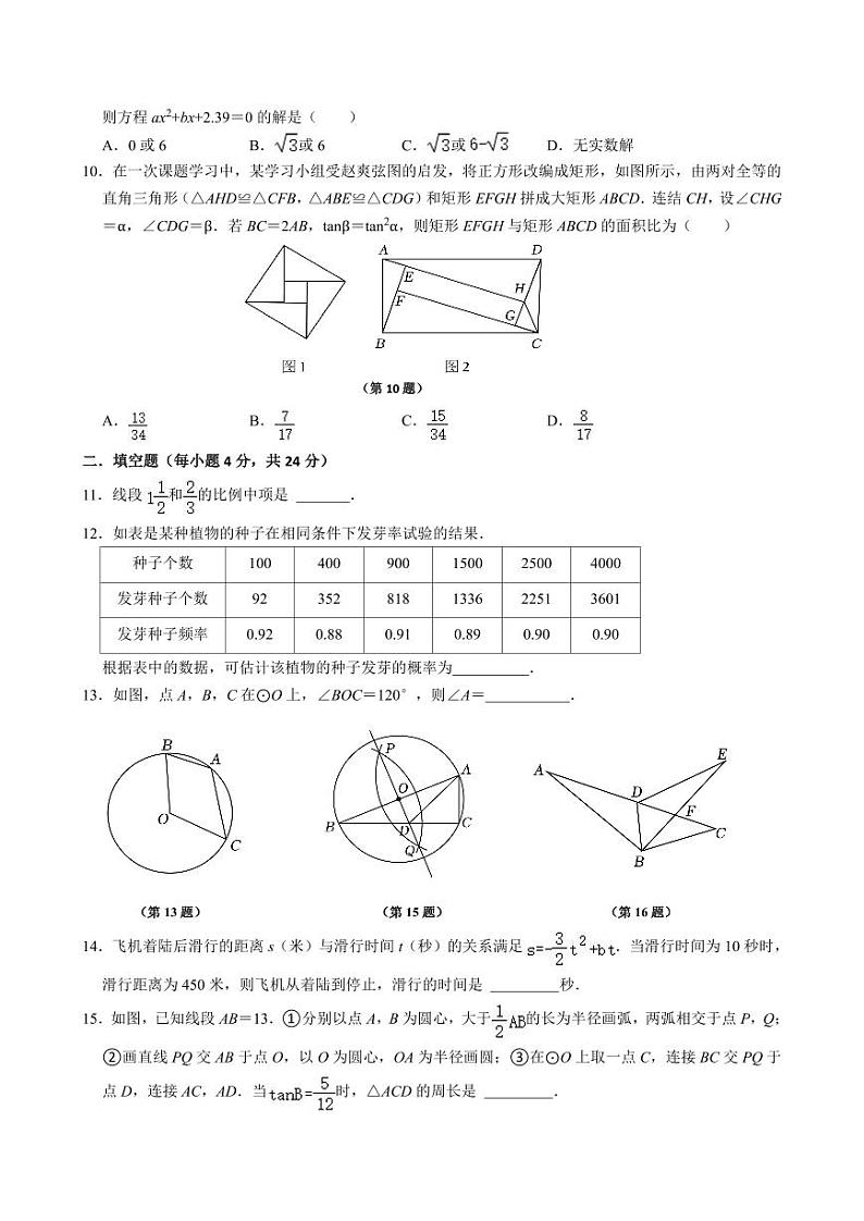 浙江省宁波市鄞州区十二校联考2024-2025学年九年级上学期11月月考数学试题02