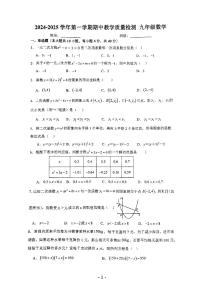 安徽省阜阳市颍东区2024-2025学年九年级上学期期中考试数学试题