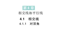 初中数学新华东师大版七年级上册4.1.1 对顶角作业课件（2024秋）