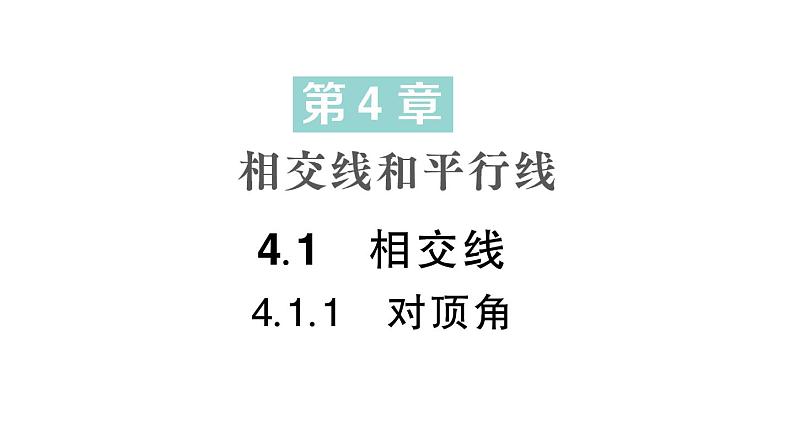初中数学新华东师大版七年级上册4.1.1 对顶角作业课件(2024秋)第1页