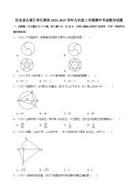 河北省石家庄市行唐县2024-2025学年九年级上学期期中考试数学试题（含答案解析）