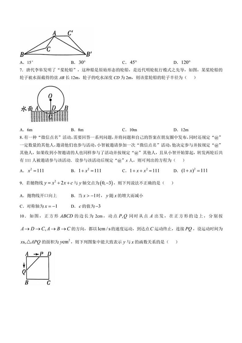 河南省漯河市召陵区2024~2025学年九年级(上)期中数学试卷(含答案)第2页