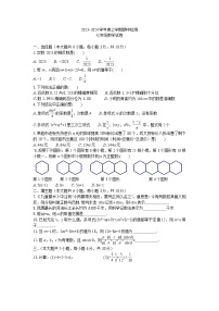 2023-2024上学期期中七年级数学试卷