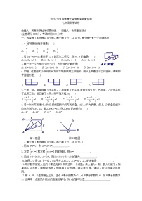 2023-2024上学期期末七年级数学试卷