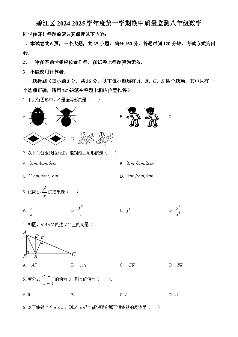 贵州省铜仁市碧江区2024-2025学年八年级上学期11月期中数学试题(原卷版)-A4第1页