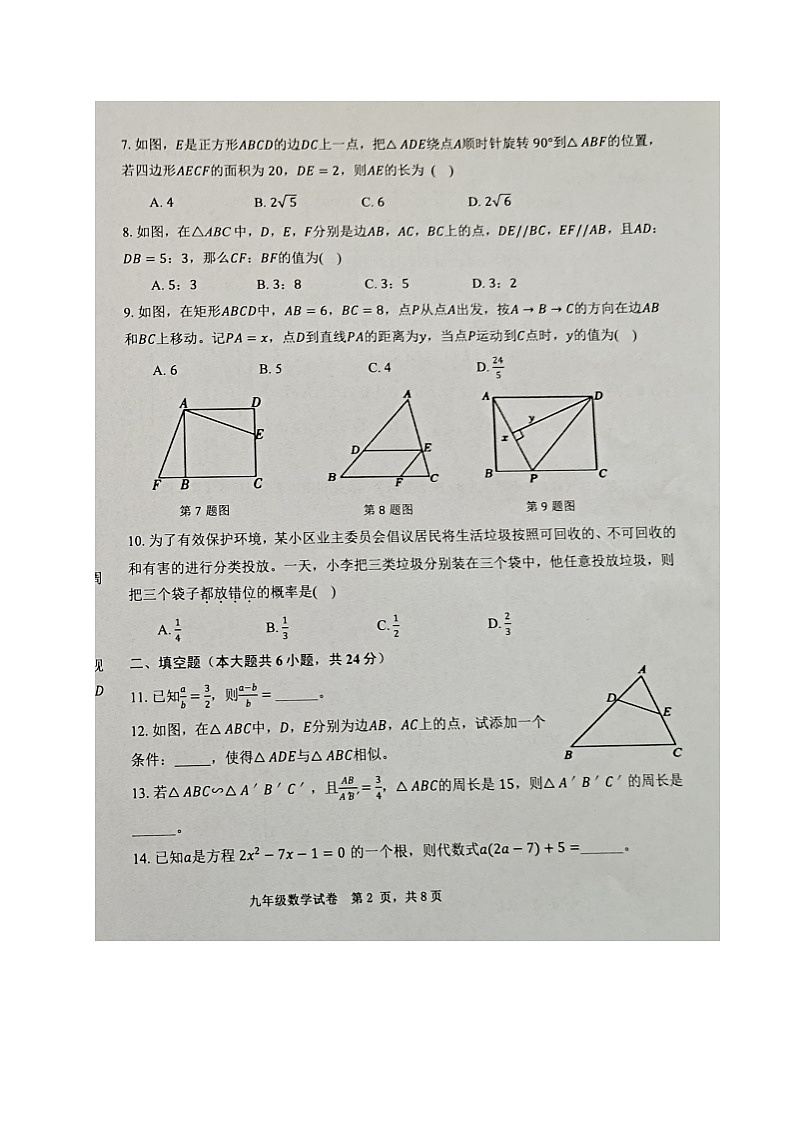 福建省三明市宁化县2024-2025学年九年级上学期期中考试数学试题第2页