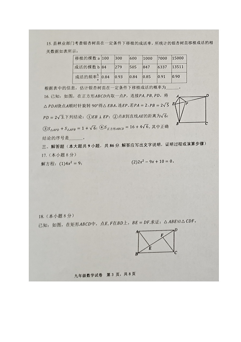 福建省三明市宁化县2024-2025学年九年级上学期期中考试数学试题第3页