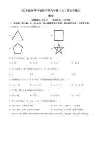 福建厦门松柏中学2023-2024学年九年级上学期月考数学试题（原卷版+解析版）