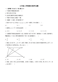 九年级上学期期末数学试题 (41)
