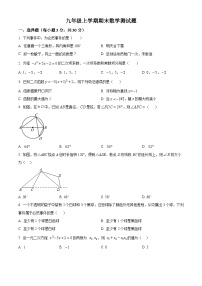 九年级上学期期末数学试题 (43)