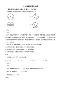 九年级上学期期末数学试题 (46)