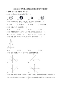 吉林省长春市榆树市2024-2025学年八年级上学期11月月考数学试题