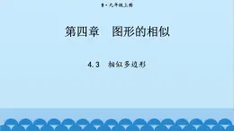 北师大版数学九年级上册 4.3 相似多边形课件