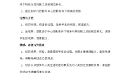 初中数学北师大版（2024）九年级上册1 投影导学案