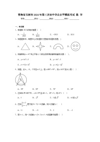 青海省玉树市2024年第三次初中学业水平模拟考试数学