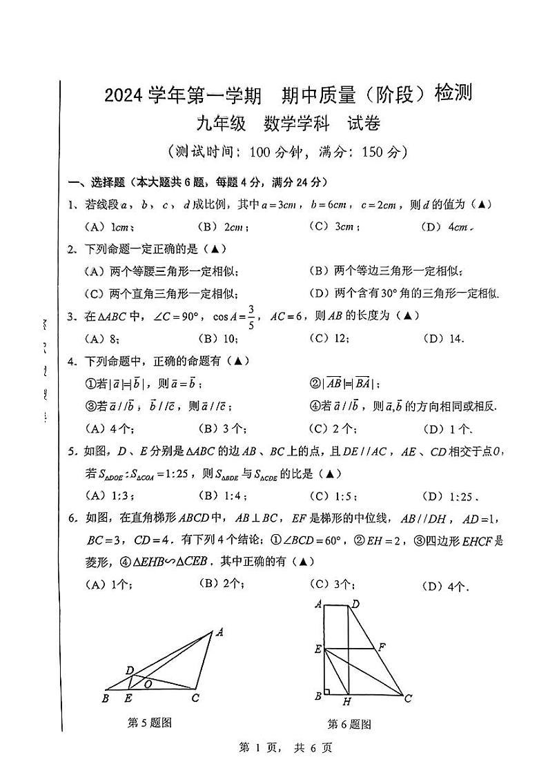 上海市浦东新区2024-2025学年九年级上学期期中考试数学试卷第1页