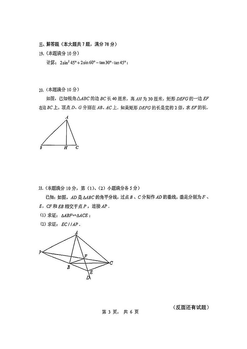 上海市浦东新区2024-2025学年九年级上学期期中考试数学试卷第3页