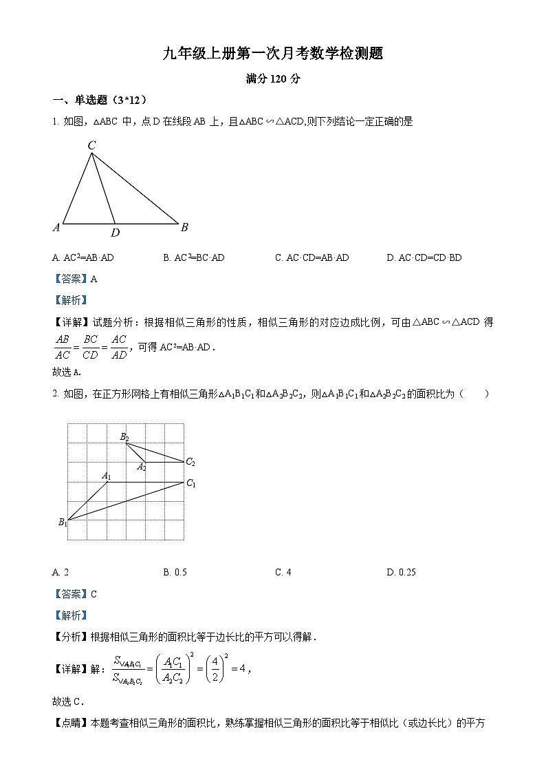 山东省聊城市东苑初级中学2024-—2025学年九年级上学期第一次月考数学试题(解析版)-A4第1页