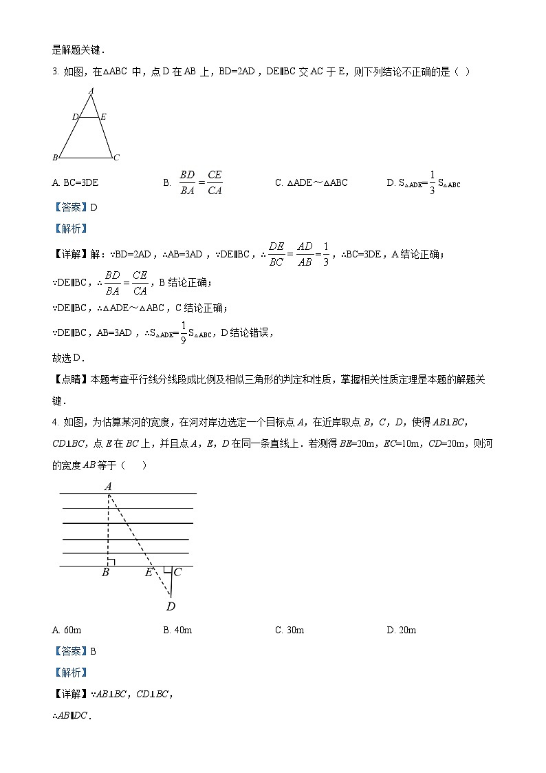 山东省聊城市东苑初级中学2024-—2025学年九年级上学期第一次月考数学试题(解析版)-A4第2页