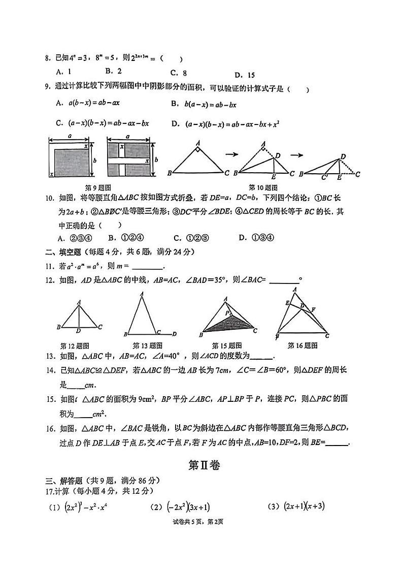 福建省厦门大学附属科技中学2024-2025学年八年级上学期期中数学试卷第2页