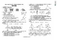 山东省德州市乐陵市2024-2025学年八年级上学期11月期中数学试题