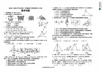 山东省德州市乐陵市2024-2025学年八年级上学期11月期中数学试题