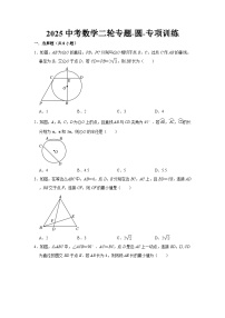 2025中考数学二轮专题-圆-专项训练【含答案】