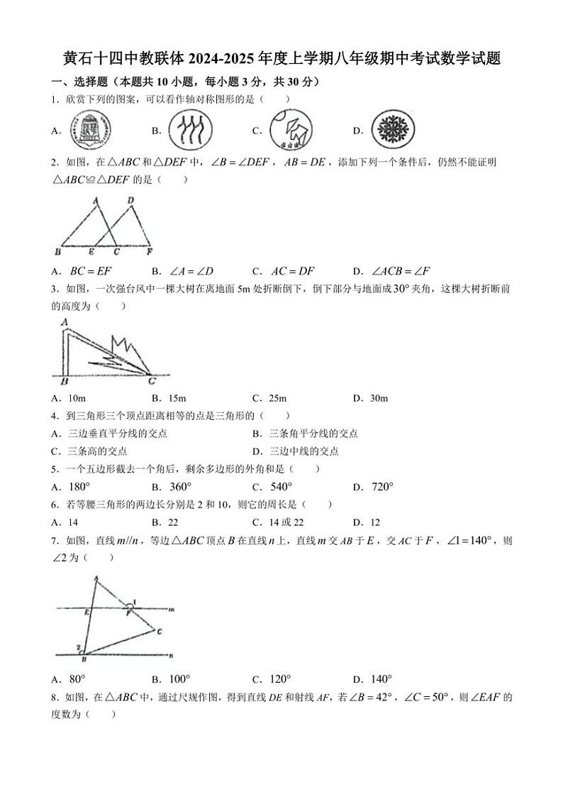 湖北省黄石十四中教联体2024~2025学年八年级(上)期中数学试卷(含答案)第1页