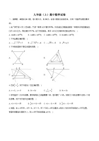 广东省深圳市八校联考2024-2025学年上学期九年级期中数学试卷