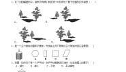 北师大版（2024）九年级上册第五章 投影与视图1 投影综合训练题
