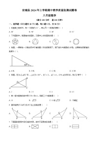 湖南省郴州市汝城县2023-2024学年八年级下学期期中数学试题（原卷版解析版）