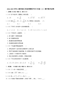 2024-2025学年上海市徐汇区南洋模范中学八年级（上）期中数学试卷（含解析）